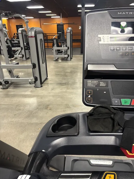 ELITE Fitness Frankfort Picture 5