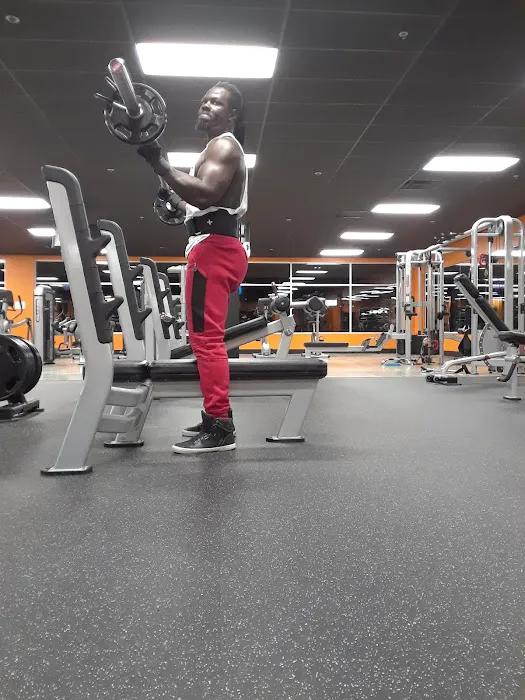 ELITE Fitness Frankfort Picture 4