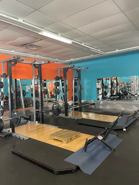 Everybody Fitness Picture 4