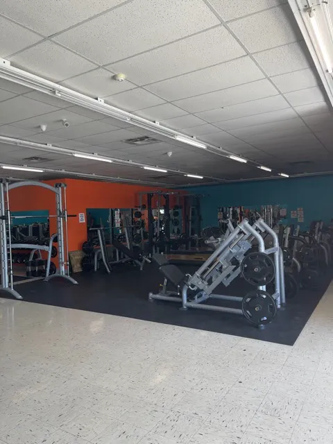 Everybody Fitness Picture 3