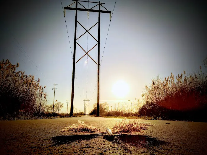 Bike Trail Crossing Picture 4