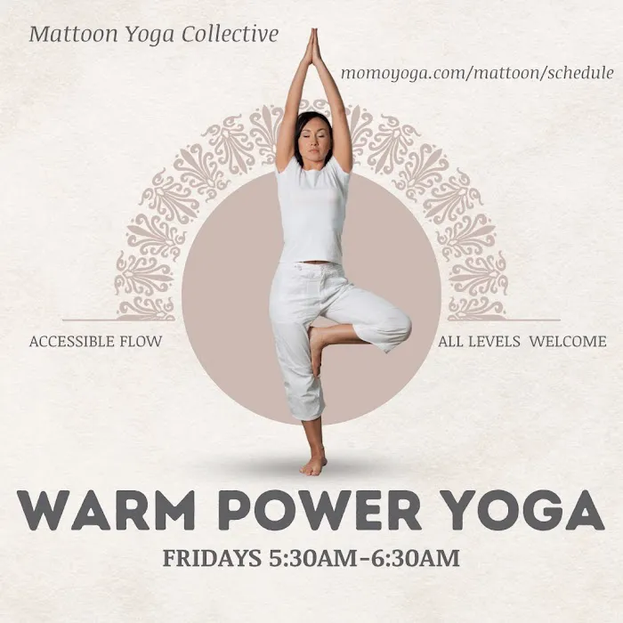 Mattoon Yoga Collective Picture 4