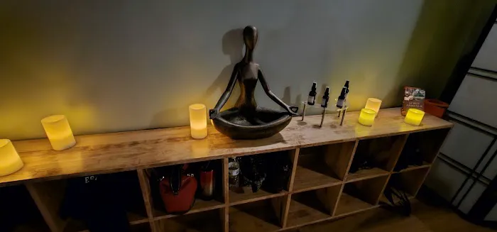 UpDog Yoga Sterling Heights Picture 2