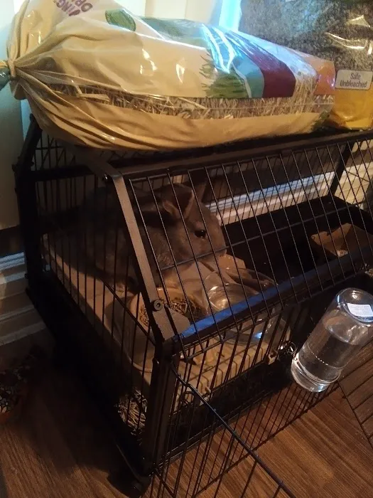 Hunt's Gymnastics Academy Picture 3