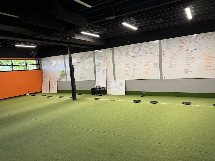 Syphus Training Picture 3