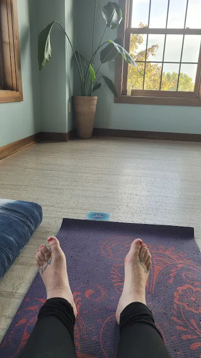 Muskegon Yoga Picture 10