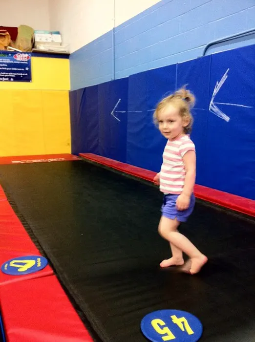Silver Stars Gymnastics Picture 9