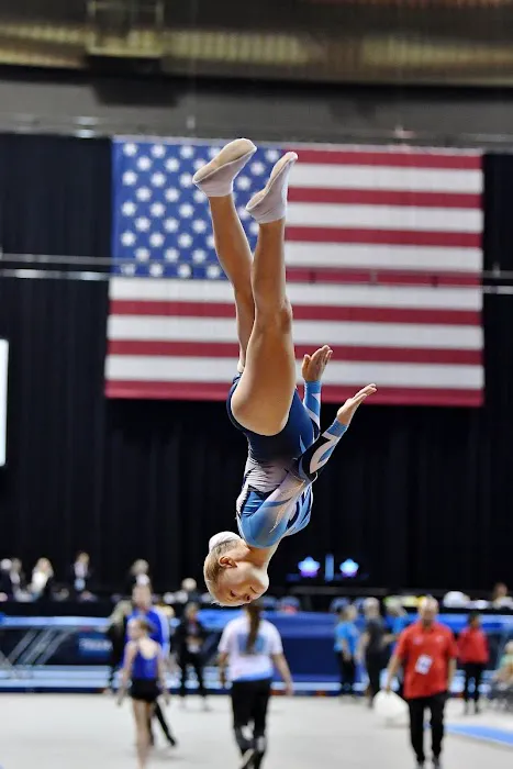 Silver Stars Gymnastics Picture 3