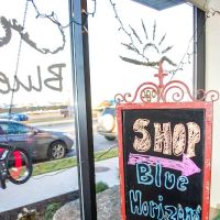 Blue Horizons Wellness ico