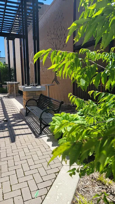 Jazz Running Family Fitness Picture 8