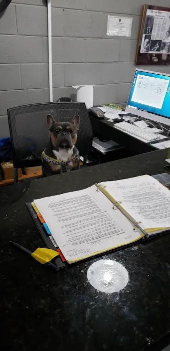 Elite Fitness And Gym Picture 7