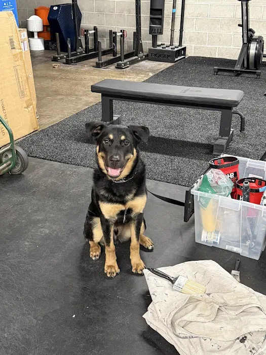 GND Strength Society Picture 7