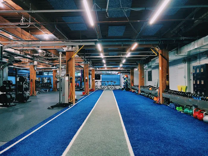 All in Motion Picture 2