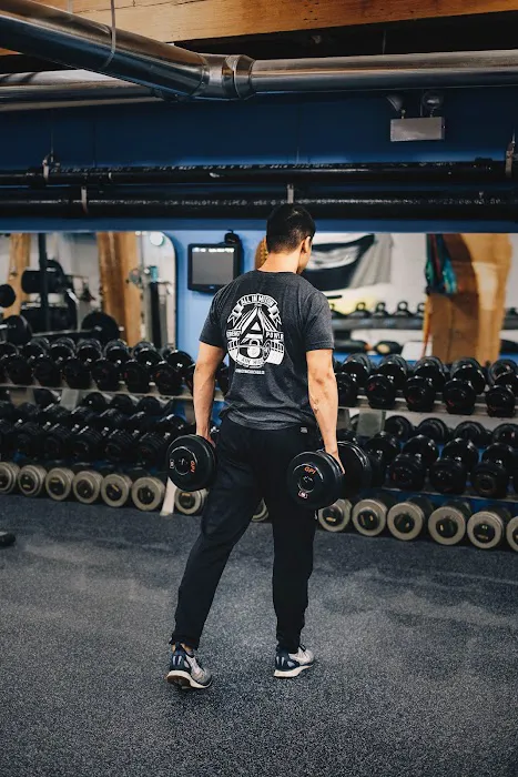 All in Motion Picture 5