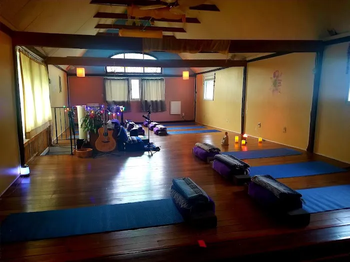 The Happy Yogi Cooperative Picture 8