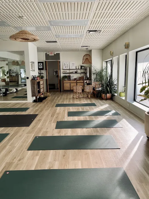 Solarium Oak Park Picture 6