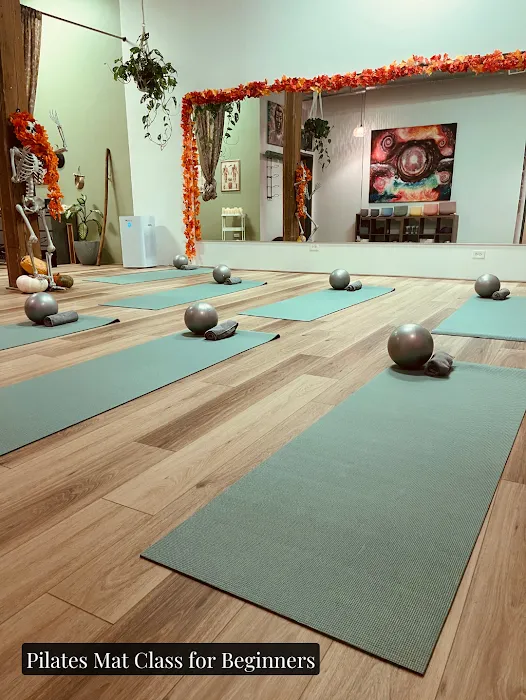 SpiritScienceMedicine Picture 3