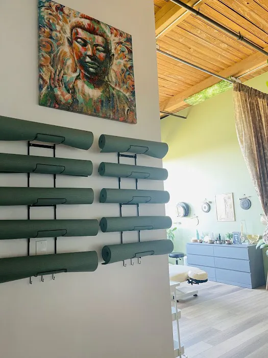 SpiritScienceMedicine Picture 7