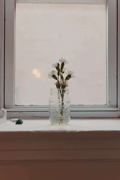 The Apartment Chicago Picture 8