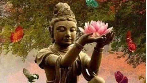 Body + Brain Healing Center Picture 2