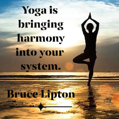 Body + Brain Healing Center Picture 10