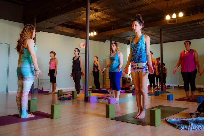 Ahimsa Yoga Studio Oak Park Picture 2