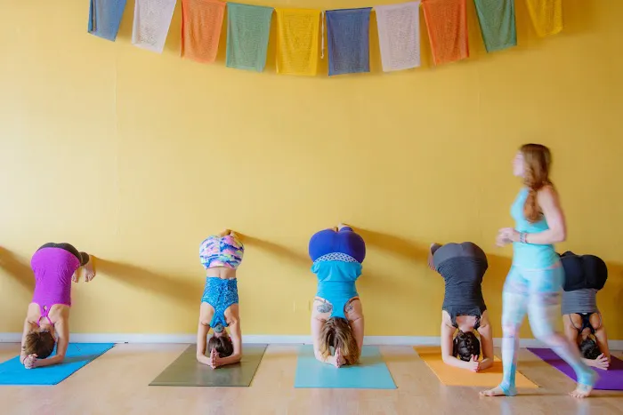 Ahimsa Yoga Studio Oak Park Picture 3