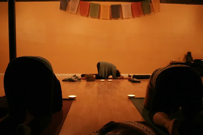 Ahimsa Yoga Studio Oak Park Picture 5