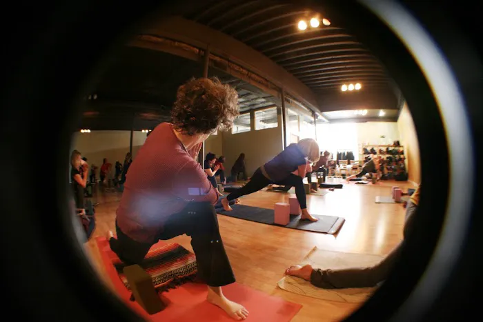 Ahimsa Yoga Studio Oak Park Picture 8