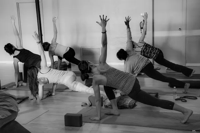 Ahimsa Yoga Studio Oak Park Picture 9