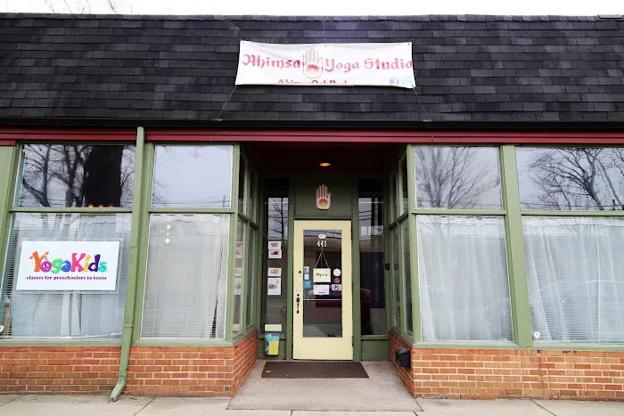 Ahimsa Yoga Studio Oak Park Picture 10