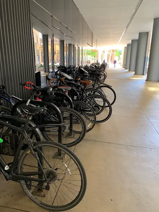 Tejas Yoga Picture 4