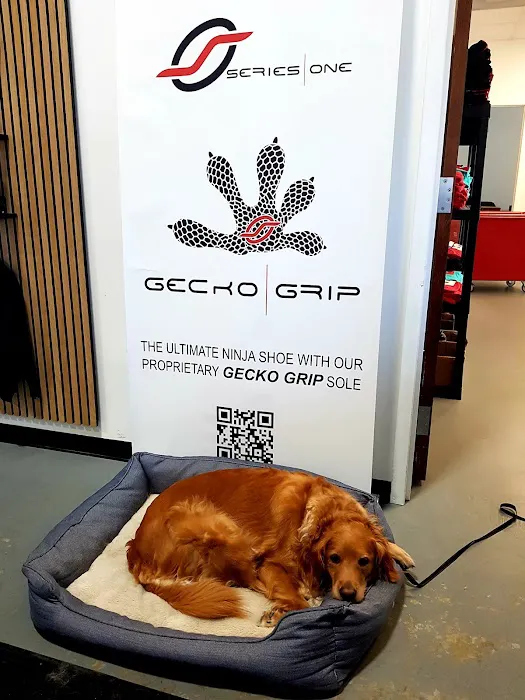 Big Time Ninja Picture 10