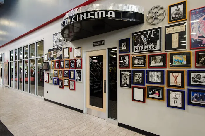 Gold's Gym Picture 3
