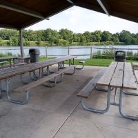 Chaminwood Lago Pesca ico