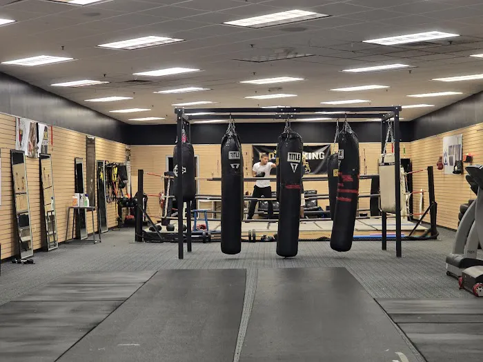 K.O.K Boxing Picture 3