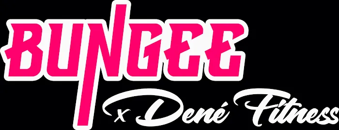 Bungee xDené Fitness Picture 6
