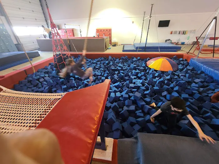 Springfield Gymnastics Center Picture 8