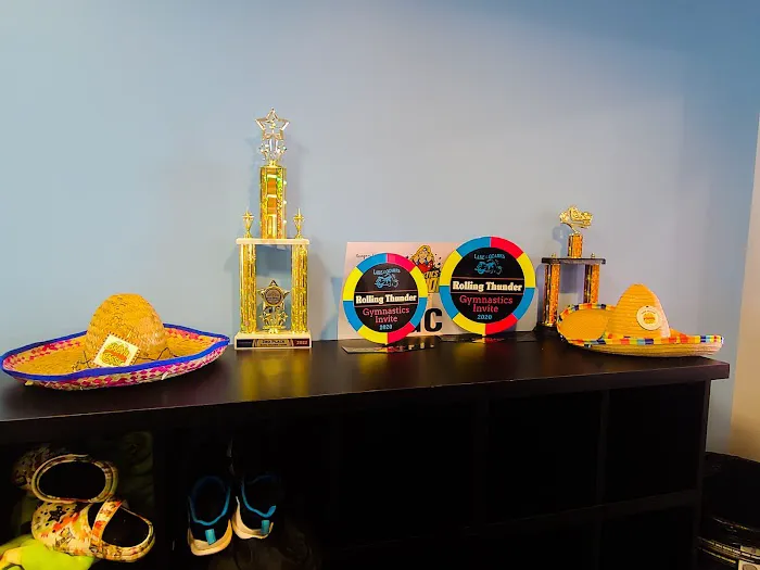 Springfield Gymnastics Center Picture 6