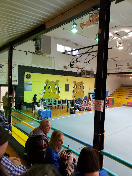 Big Dogs Gym & Fitness Picture 4