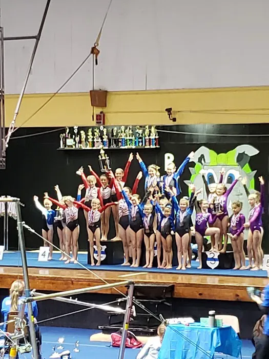 Big Dogs Gym & Fitness Picture 5