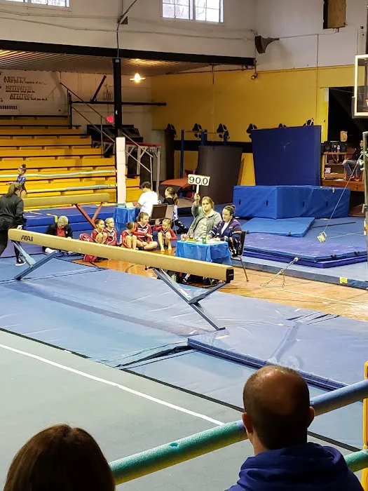 Big Dogs Gym & Fitness Picture 2