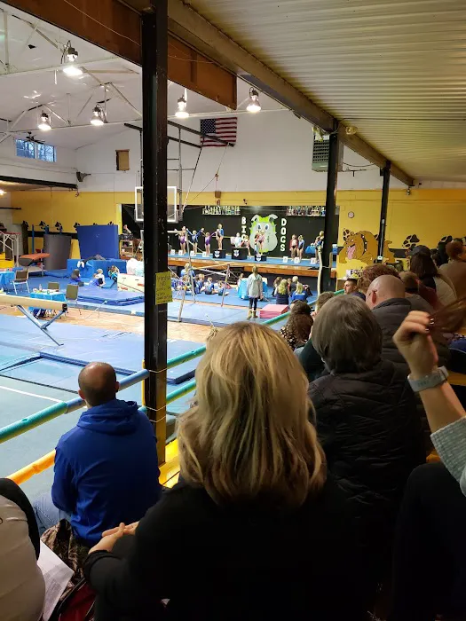 Big Dogs Gym & Fitness Picture 3