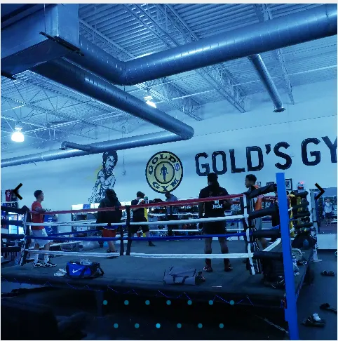 Gold's Gym Detroit Picture 4