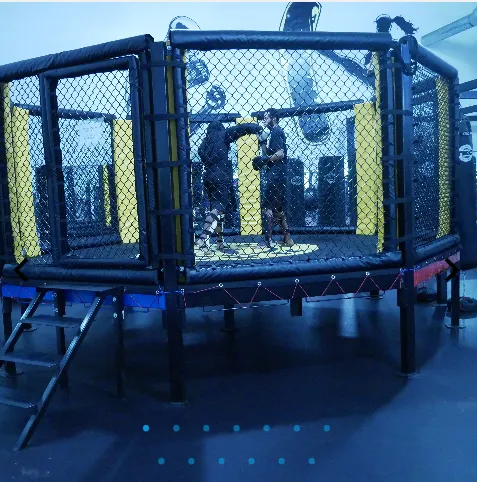 Gold's Gym Detroit Picture 5