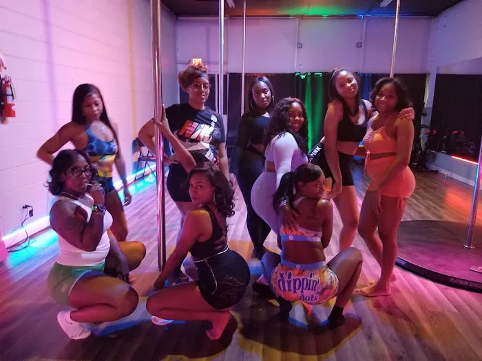 Alter Ego Pole Fitness Picture 2