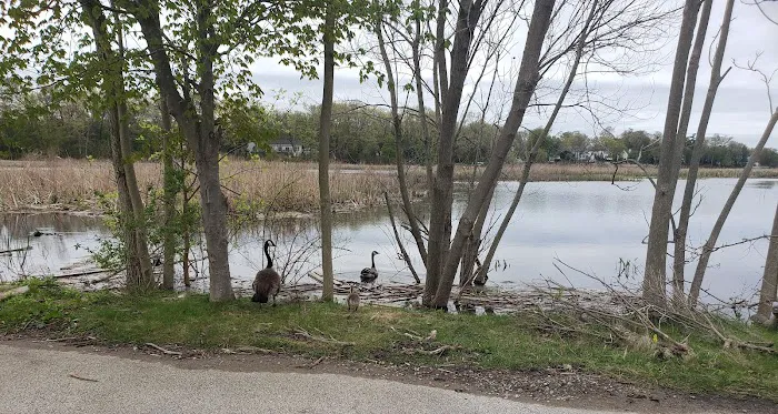 Rhoda's Body Shop Picture 5