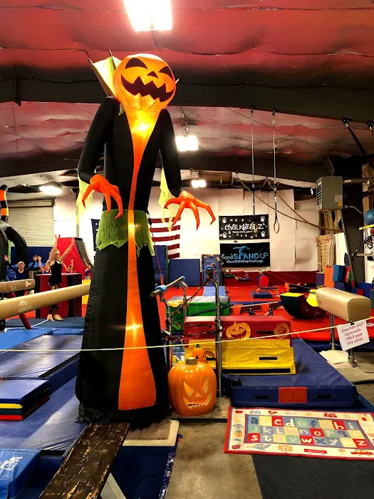 Chalkheadz Gymnastics Training Center Picture 8