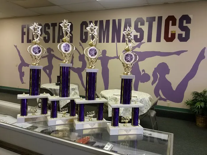 Flipstar Gymnastics Center Picture 7