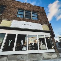 Lotus of Ludington ico
